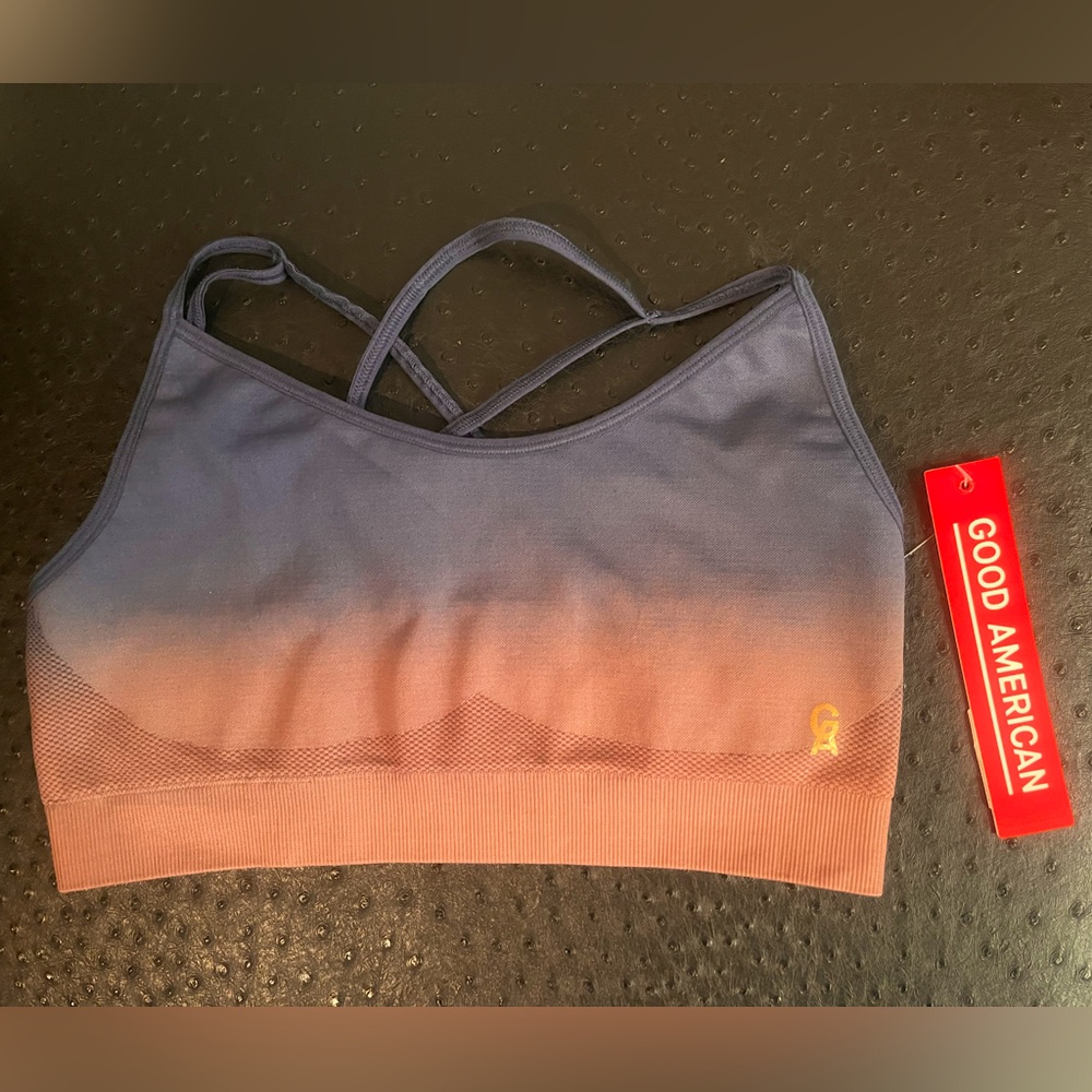 Good American Ombré Blue and Pink Sports Bra